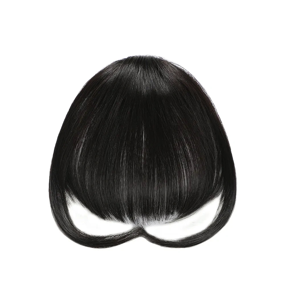 STYLEUHAIR Clip In Bangs Hair Invisible Clips Real Remy Human Hair Wispy Bangs French Bangs (