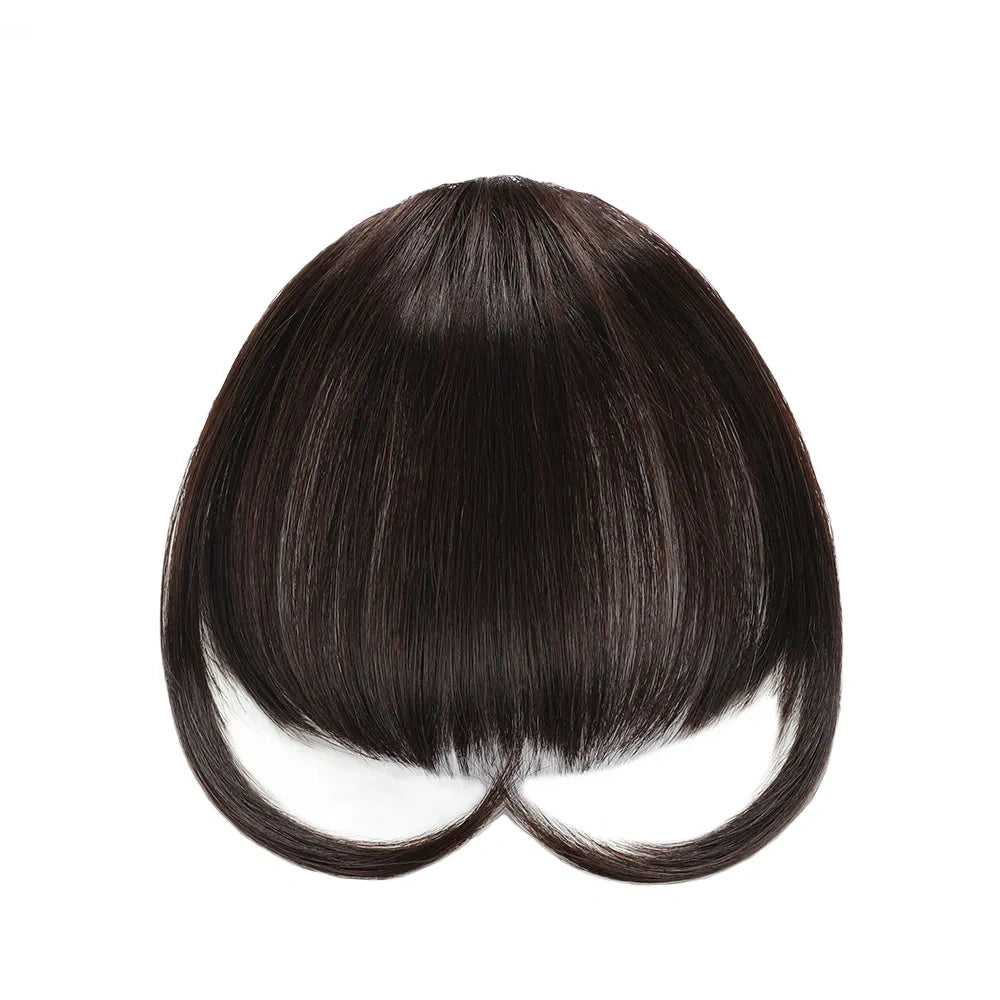 STYLEUHAIR Clip In Bangs Hair Invisible Clips Real Remy Human Hair Wispy Bangs French Bangs (